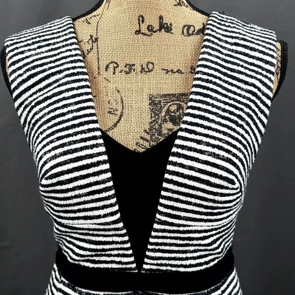 BCBGMaxazria Dress Women 2 Black White Striped Piper Sleeveless Zip Peplum Party - Picture 7 of 13
